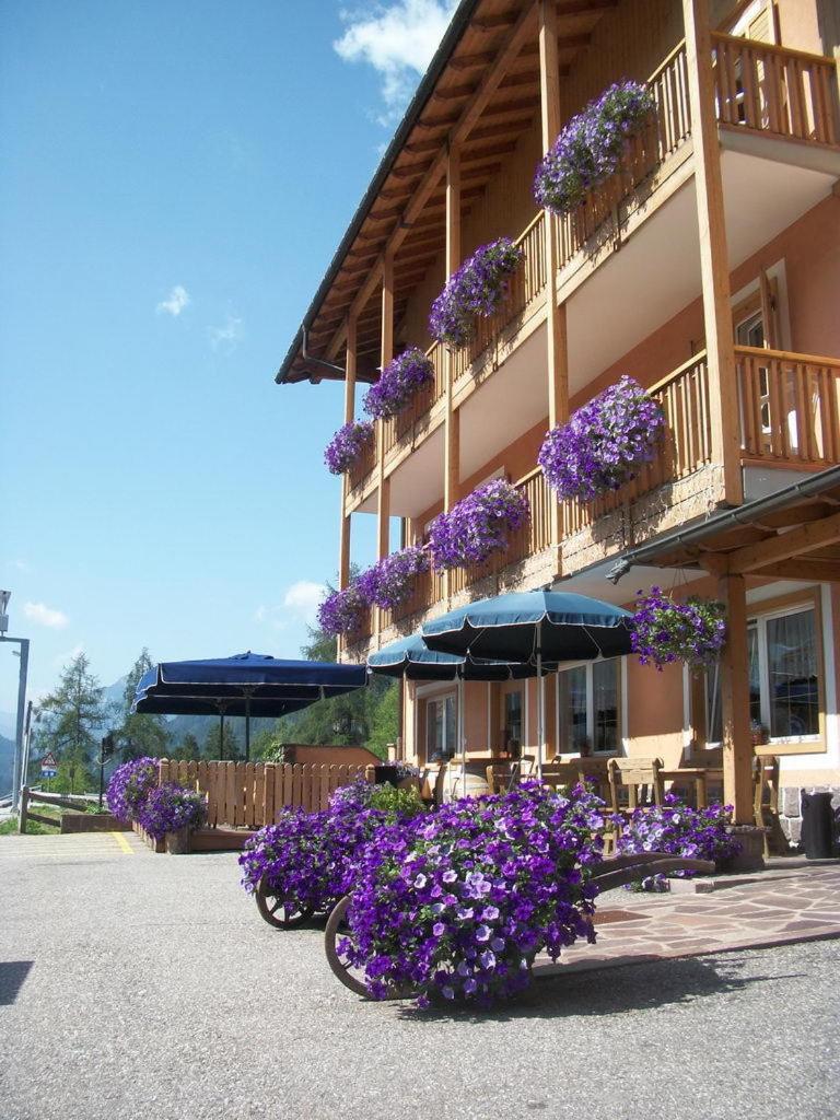 Hotel Vallechiara Moena Buitenkant foto